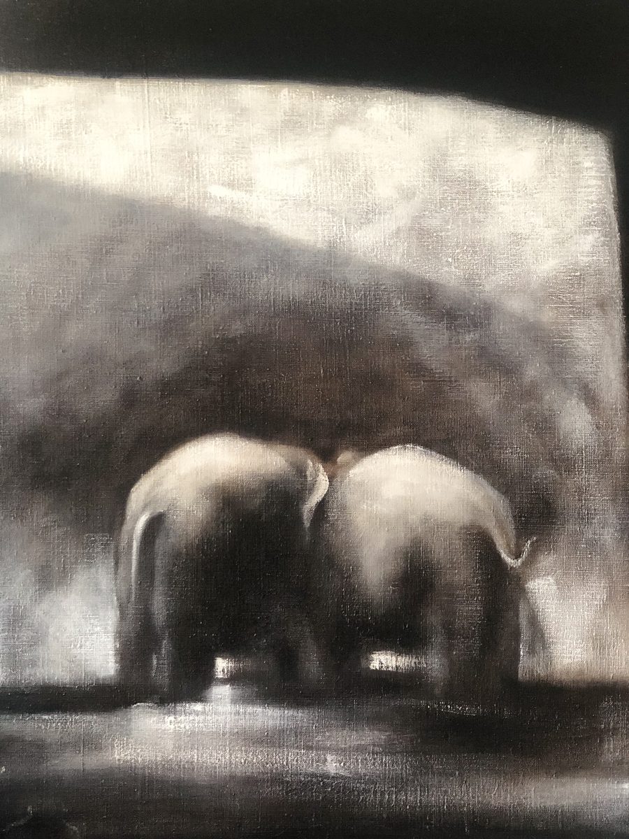 Elephants in the room — a metaphor for the conversations families avoid